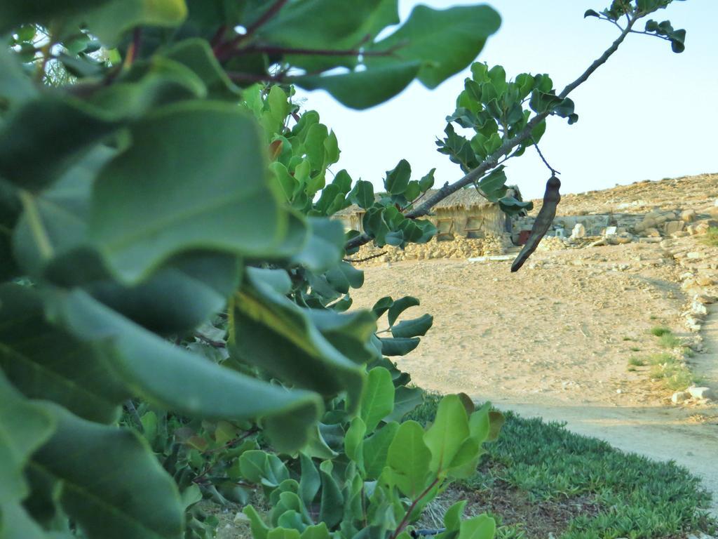 Succah In The Desert Mitzpe Ramon Exterior photo